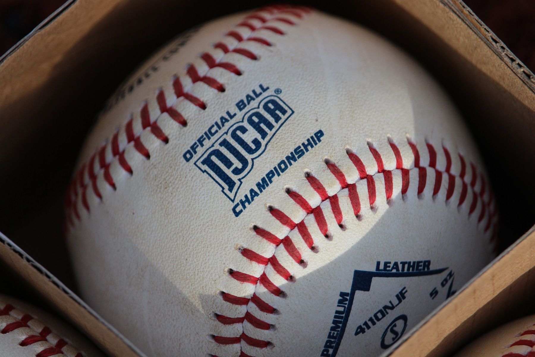 Baseball Concludes Spring Trip With a Pair of Setbacks