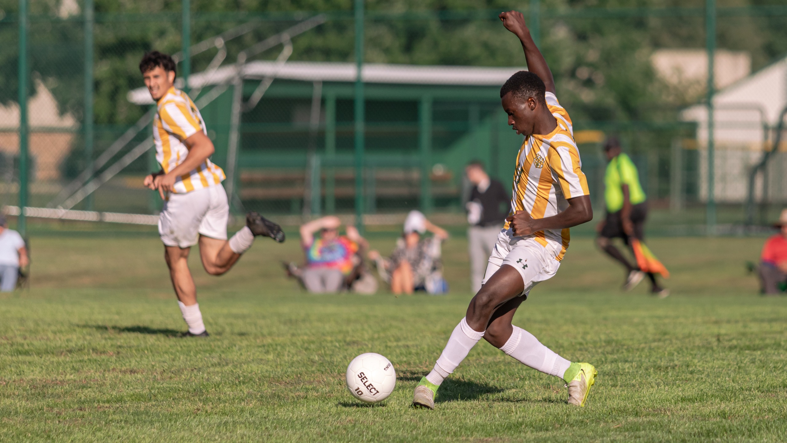 Cougars Battle Hard but Fall to Cecil