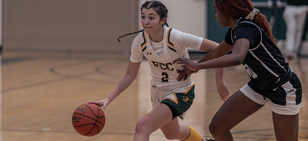 Cougars Struggle Against SUNY Niagara