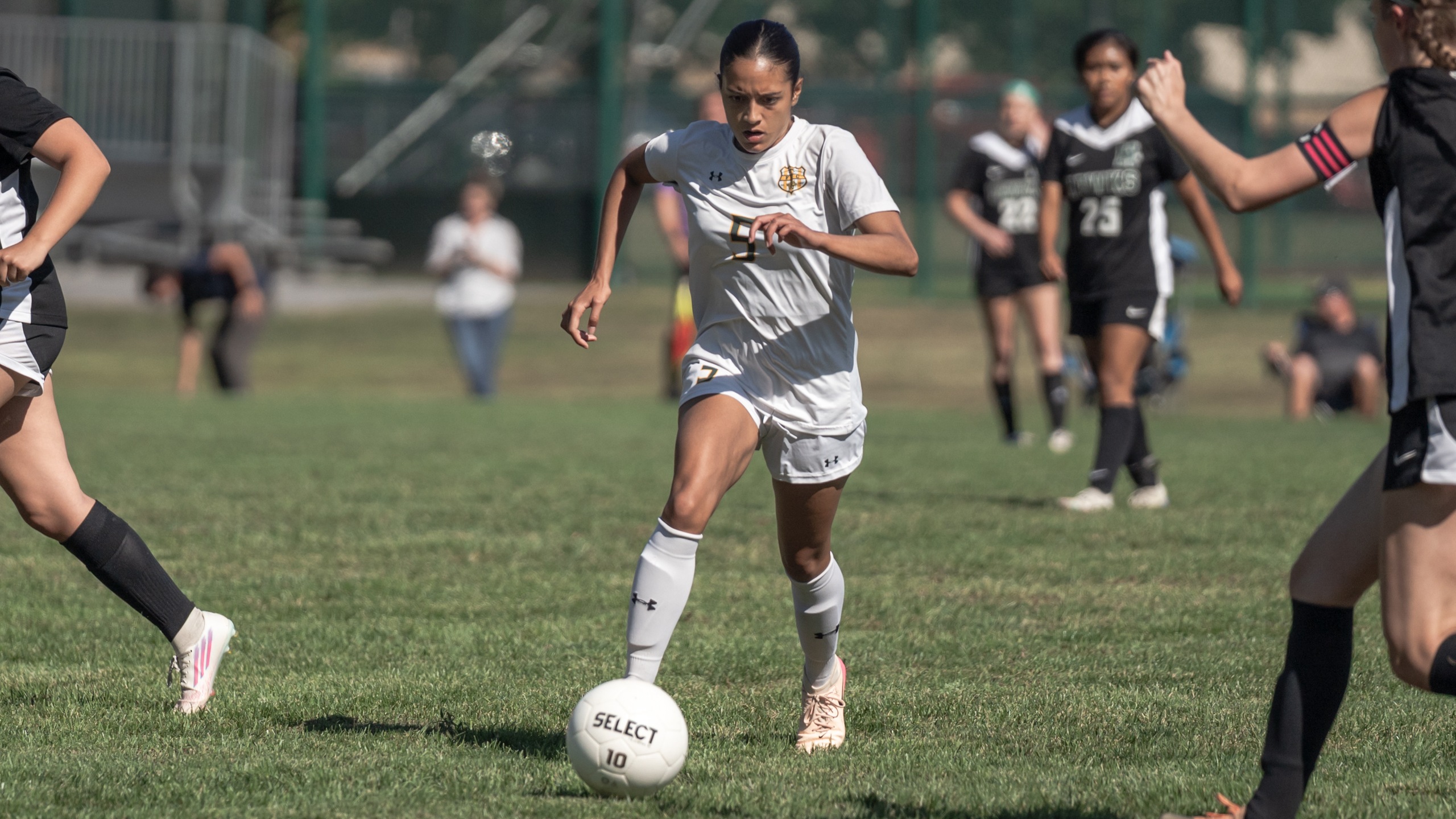 Cougars Fall in Home Opener Against Hawks