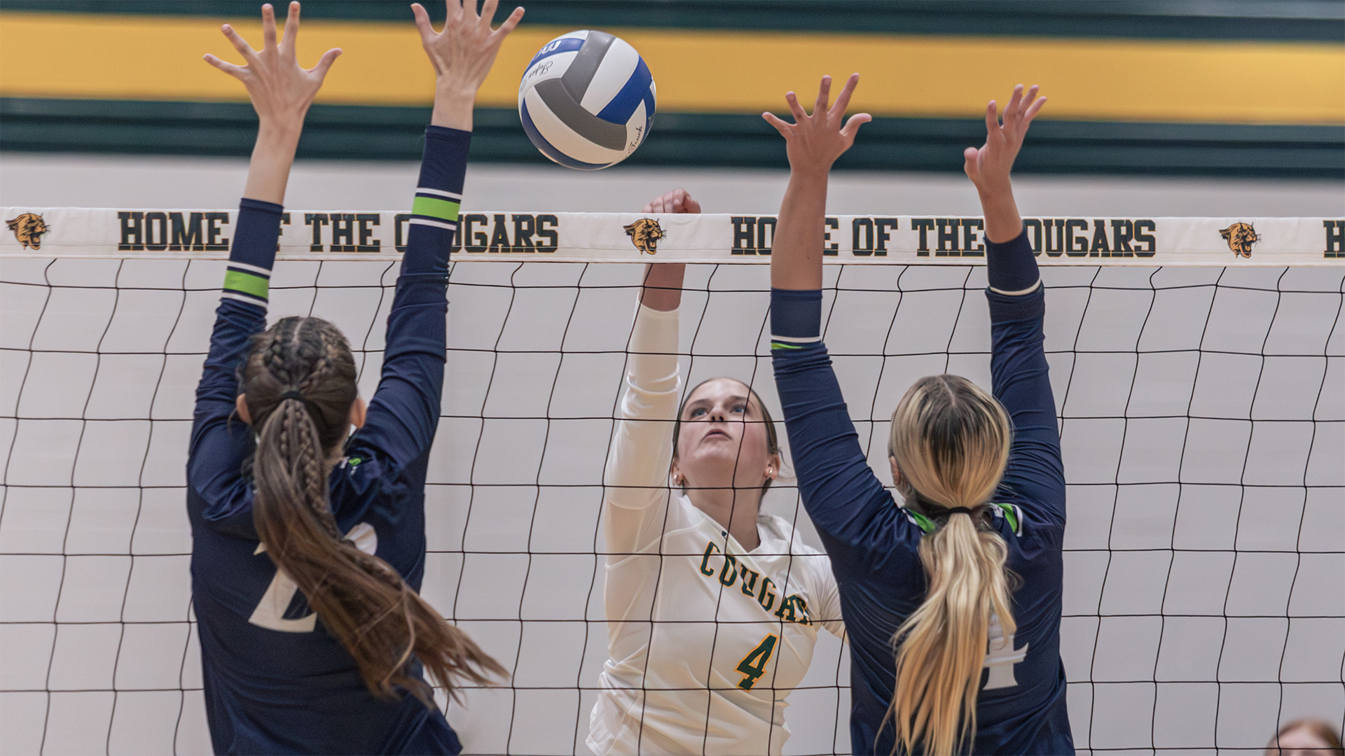 Cougars Show Progress in Tri-Match Opener Against Allegany